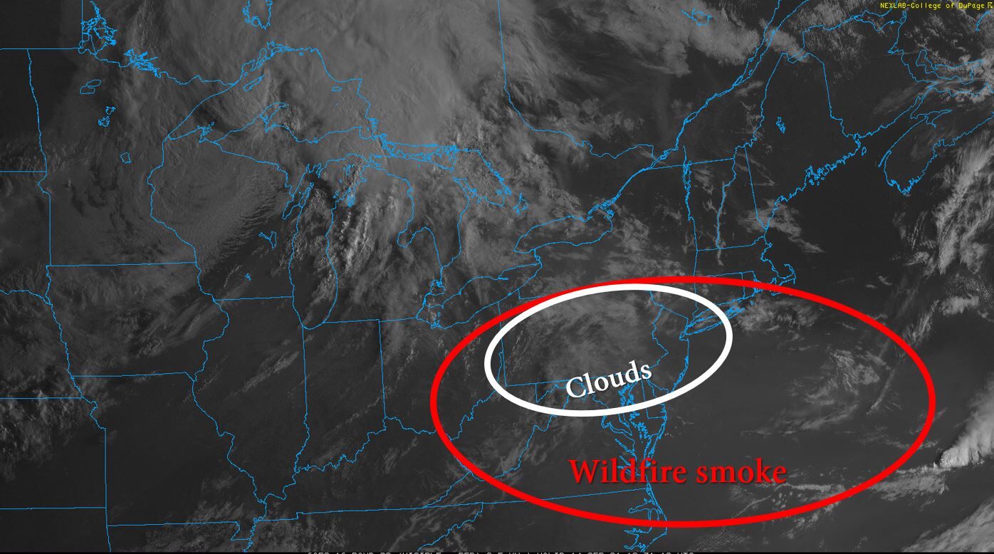 Wildfire Smoke Image